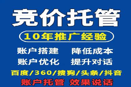 竞价广告策略案例分析